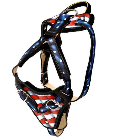 Hundegeschirr aus Leder mit Design "Amerikanischer Stolz"