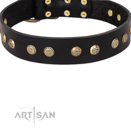 Bezauberndes Lederhalsband von FDT Artisan "Black Elegance" - zum Schließen ins Bild klicken