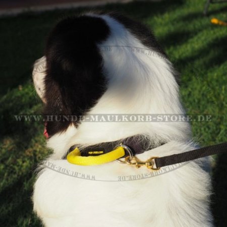 Moskauer Wachhund Hundehalsband aus Nylon mit Schnellverschluss
