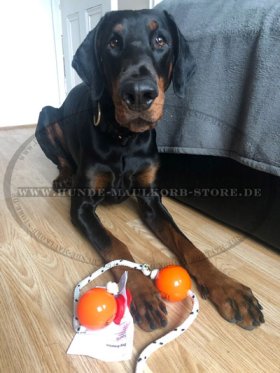 Oranger Top-Matic Fun-Ball mit rotem Power-Clip