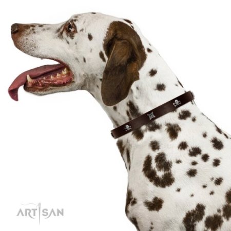 Hundehalsband aus Leder mit Nieten Design, braun