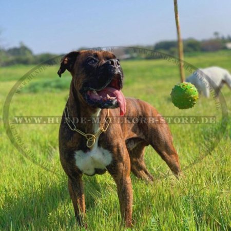 Hundespielzeug für Zugspiele, Gummiball für Aktive Hunde 