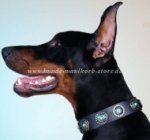 Halsband Leder mit blauen Steinen | Dobermann Halsband 2020 ❁