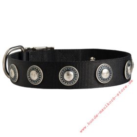 Decorative Dog Collar, Nylon with Silver Conchas