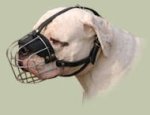 Wire Basket Dog Muzzle for American Bulldog