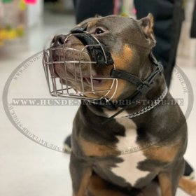 Extra Large Wire Basket Muzzle American Bully