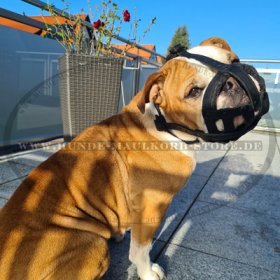 Robuster Hundemaulkorb Leder mit guter Luftzirkulation für Continental Bulldog