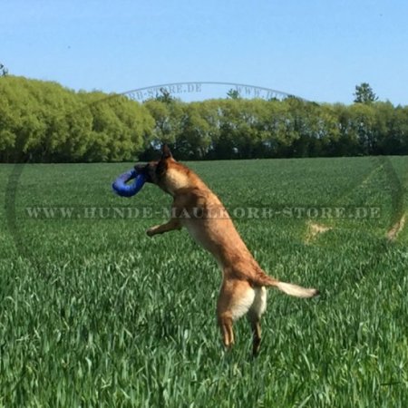 Originelles Beissspielzeug für Malinois aus French Linen