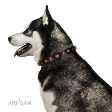 Hundehalsband aus Fettleder im Braun mit stilvollem Dekor