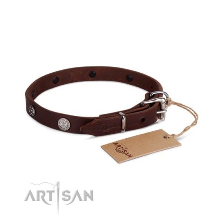 Wertvolles Halsband aus Leder in Braun mit Nieten verziert