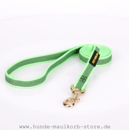 FDT Hundeleine aus grünem Nylon mit Handschlaufe