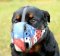 Rottweiler Maulkorb in Amerika Stil Ⓡ