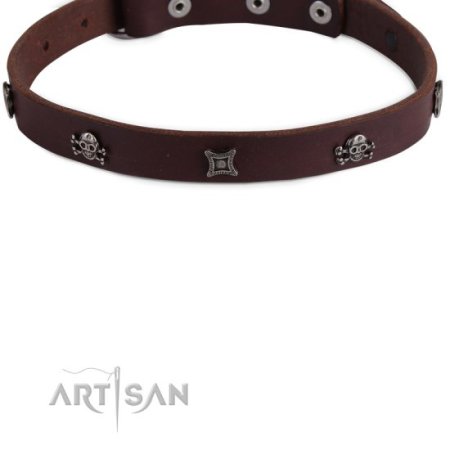 Hundehalsband aus Leder mit Nieten Design, braun