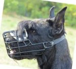 Beisskorb für Riesenschnauzer