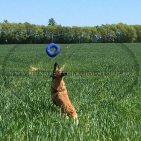 Originelles Beissspielzeug für Malinois aus French Linen