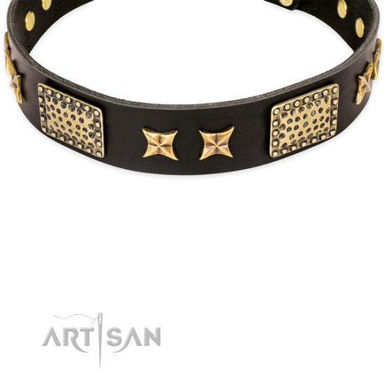 FDT Artisan Lederhalsband "Passion for Style and Beauty"