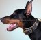 Halsband Leder Breit 2020 | Dobermann Halsband Geflochten ✻✻