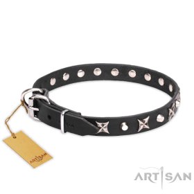Glanzvolles Hundehalsband aus Leder mit silbrigen Nieten