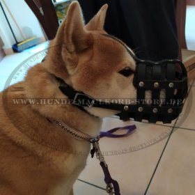 Shiba Inu Maulkorb Leder in Netzkonstruktion mit guter Belüftung