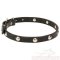 Dog Collar with Ball Like Studs, Designer Leather!