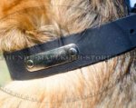 Lederhalsband mit Namenschild für Deutschen Schäferhund
