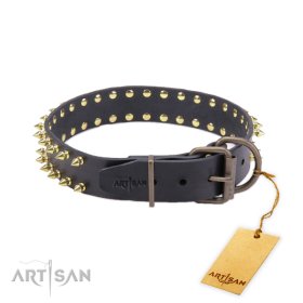 Robustes Halsband aus Leder mit Messing Spikes an beiden Kanten