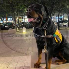 Kenndecken für Servicehund und Assistenzhund