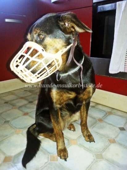Dog Muzzle for Mix Breeds, Made of Plastic