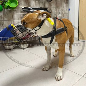 Amstaff Drahtmaulkorb gummiert für freies Atmen