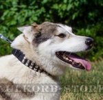 Leder Hundehalsband für Laika mit Strass-Pyramiden