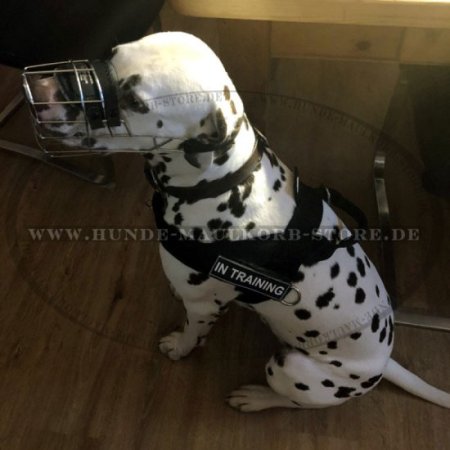 New nylon dog harness - Better control of your dog