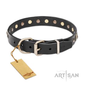 Leather Collar with the Mix of big and small Studs