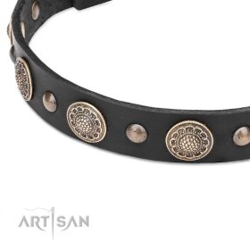 Leather Collar with the Mix of big and small Studs