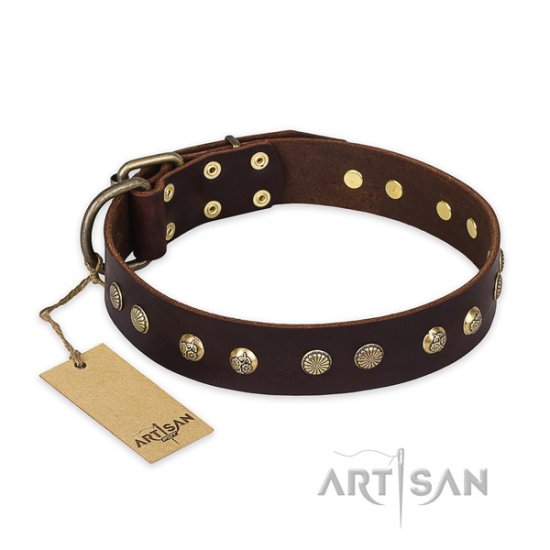 Genietetes Hundehalsband aus Leder"Bronze Sheen" von FDT Artisan - zum Schließen ins Bild klicken