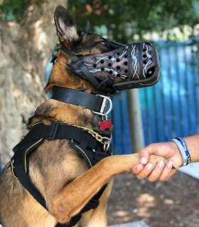 Leather Muzzle for Malinois | Designer Dog Muzzle for Attack