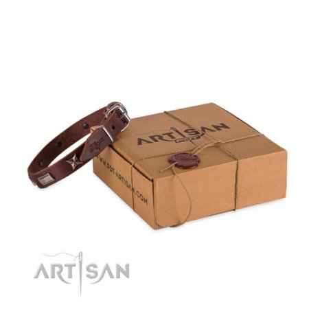 Exklusives Hundehalsband mit Sternen und Platten aus Nickel