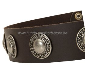 Collar with Conchas for dogs| Collar of Leather