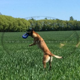 Originelles Beissspielzeug für Malinois aus French Linen