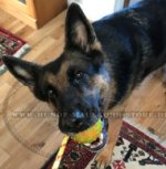 Gummiball für Deutschen Schäferhund, 7cm Durchmesser