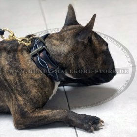 Bemaltes Stacheldraht-Lederhalsband für Bullterrier