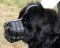 Newfoundland foEveryday Light Weight Ventilation Dog muzzle