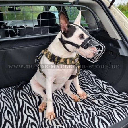 Drahtmaulkorb für Bullterrier Hunderassen | Bester Hund Maulkor