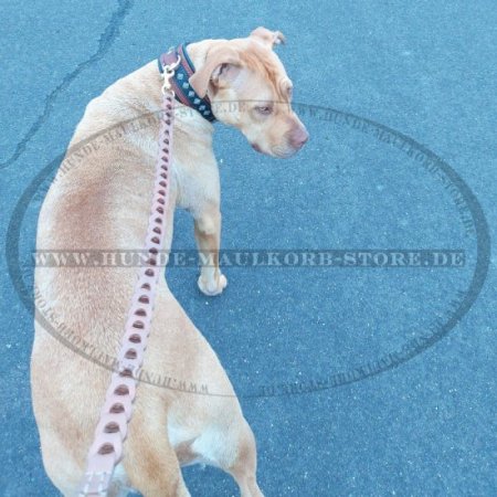 Hundeleine Leder für K9 Hunde