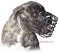 Drahtmaulkorb für Bullmastiff | Maulkorb mit Gummi bedeckt
