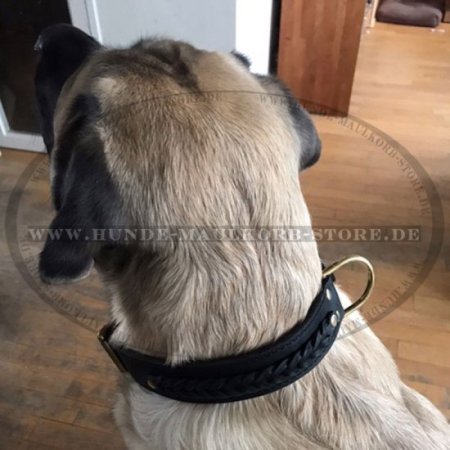 Handcrafted Special Braided Leather Dog Collar