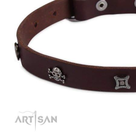 Hundehalsband aus Leder mit Nieten Design, braun