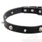 Ledernes Hundehalsband mit Spikes und Schädeln 25 mm