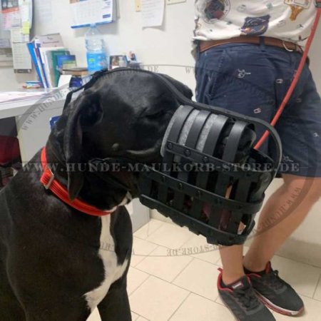Dog Muzzle Great Dane | Leather Muzzle Perfect Ventilation