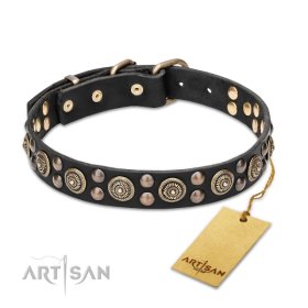 Leather Collar with the Mix of big and small Studs