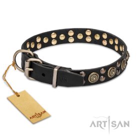Leather Collar with the Mix of big and small Studs